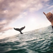 ¡35 fotos que hablan más que cualquier palabra!