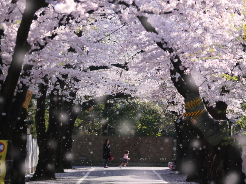 35 photos that speak louder than any words! 35 photos that speak louder than any words!