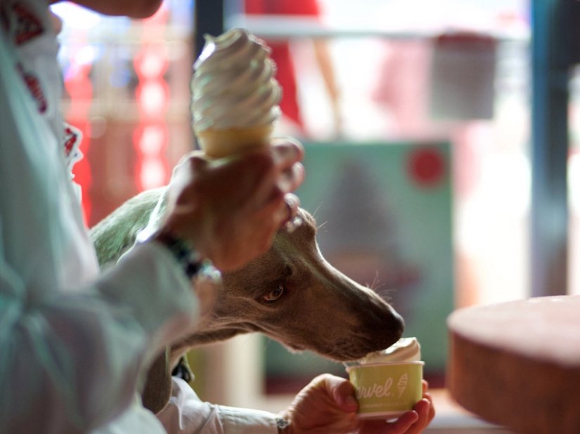 35 photos that speak louder than any words! 35 photos that speak louder than any words!