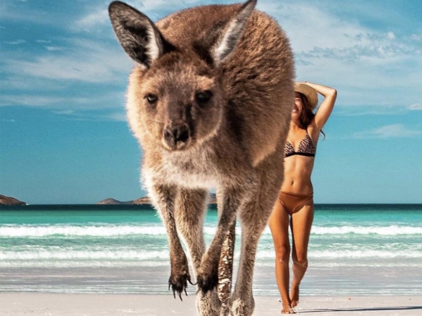 35 photos that speak louder than any words! 35 photos that speak louder than any words!