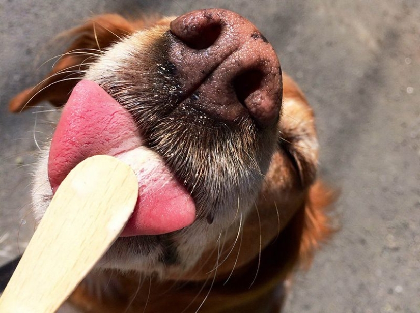 35 photos that speak louder than any words! 35 photos that speak louder than any words!