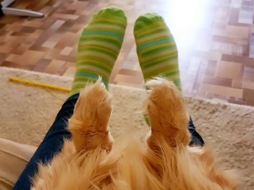 35 photos that speak louder than any words! 35 photos that speak louder than any words!