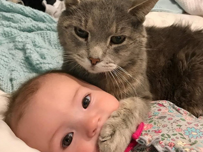 35 photos that speak louder than any words! 35 photos that speak louder than any words!