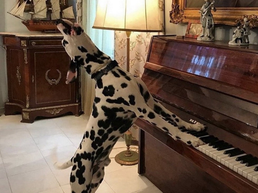 35 photos that speak louder than any words! 35 photos that speak louder than any words!