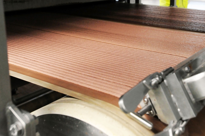 4 canonical tips on how to properly feed domestic cats