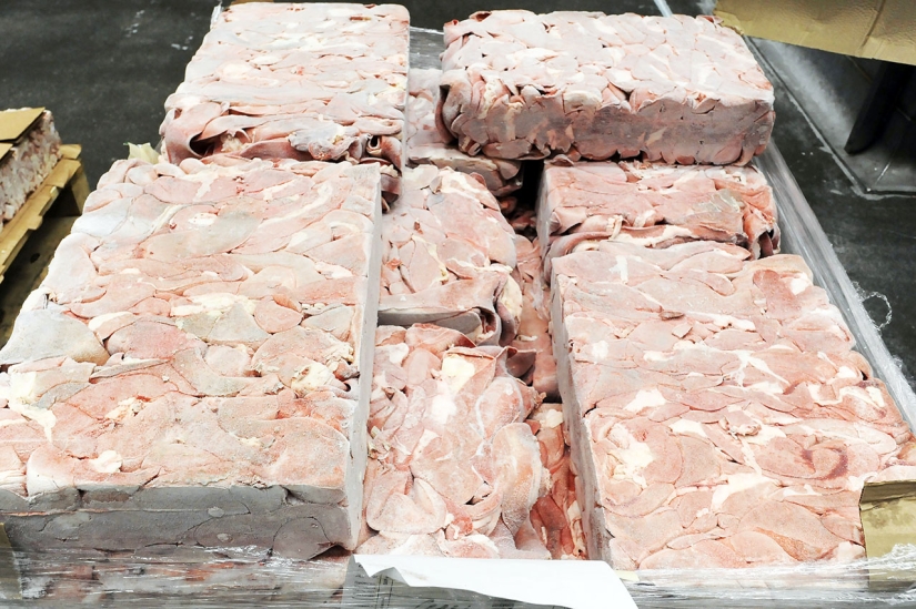 4 consejos canónicos sobre cómo alimentar adecuadamente a los gatos domésticos