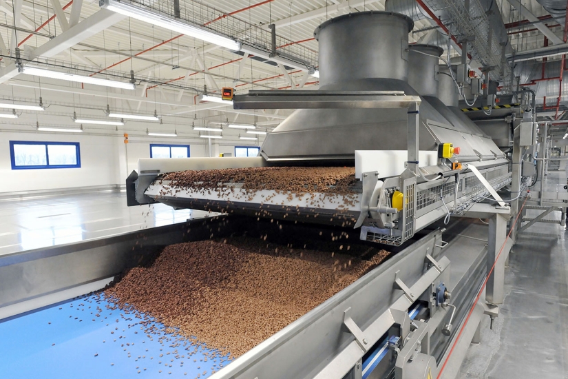 4 consejos canónicos sobre cómo alimentar adecuadamente a los gatos domésticos