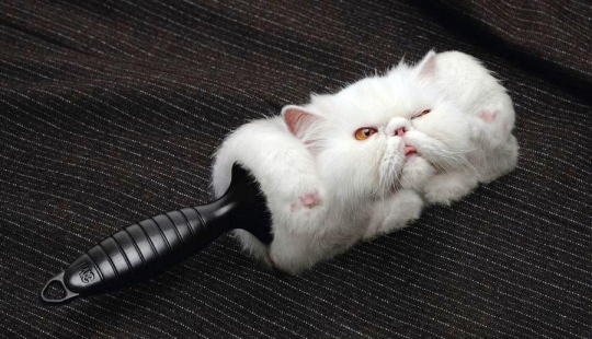 40 creative advertising prints