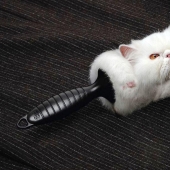 40 impresiones publicitarias creativas