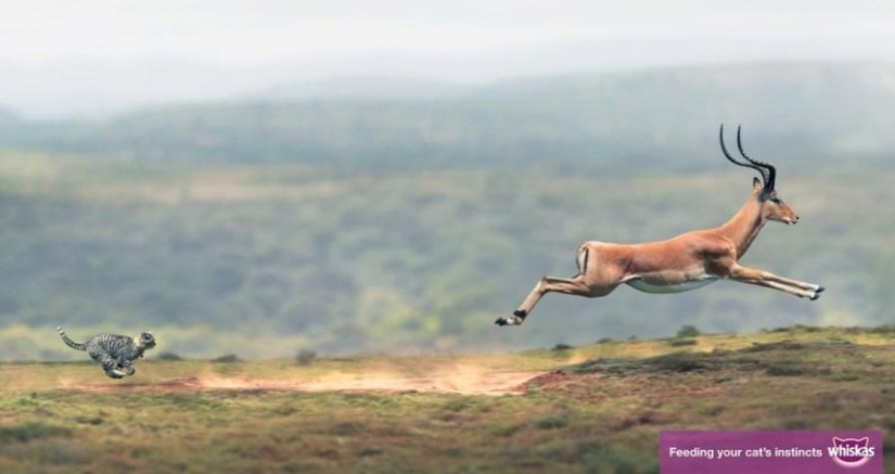 40 impresiones publicitarias creativas