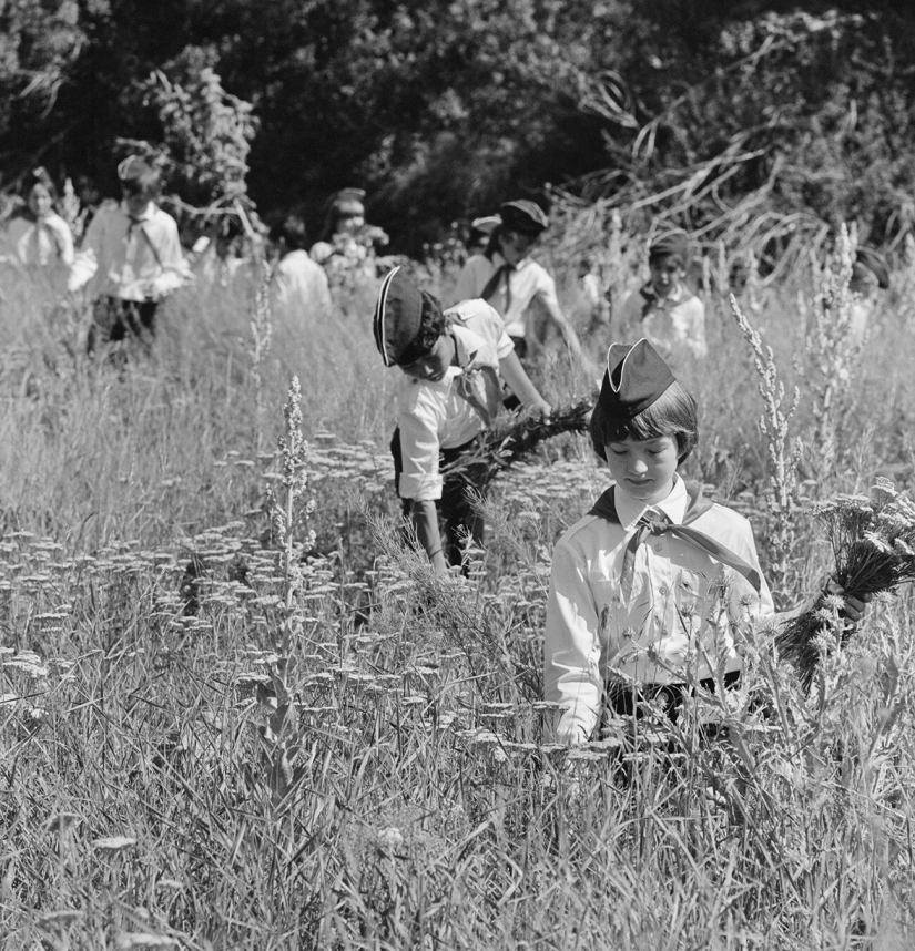 5 formas de ganar dinero para niños en la URSS 5 formas de ganar dinero para niños en la URSS