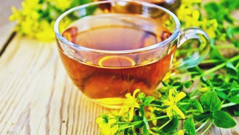 5 hierbas silvestres que se preparan mejor en té para calentar