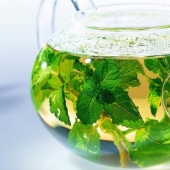 5 hierbas silvestres que se preparan mejor en té para calentar