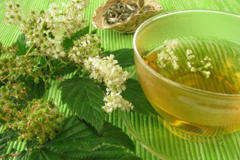 5 hierbas silvestres que se preparan mejor en té para calentar