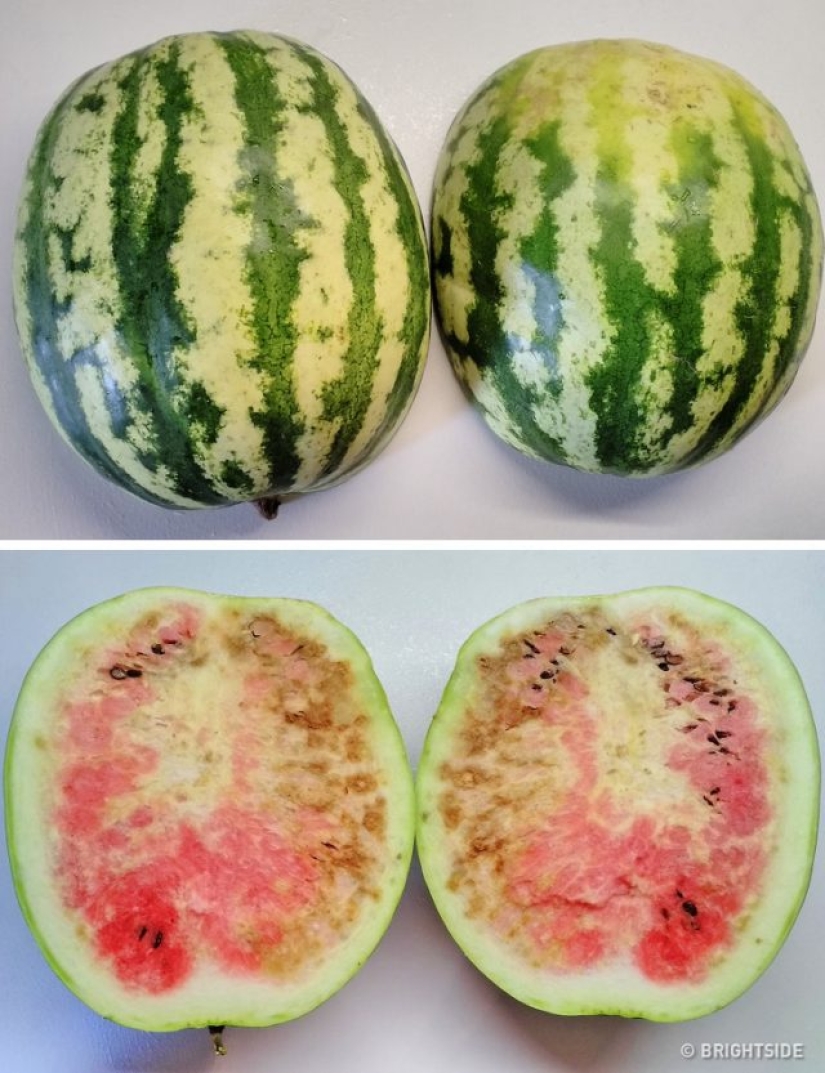 5 signs of nitrate watermelon that may help you avoid food poisoning