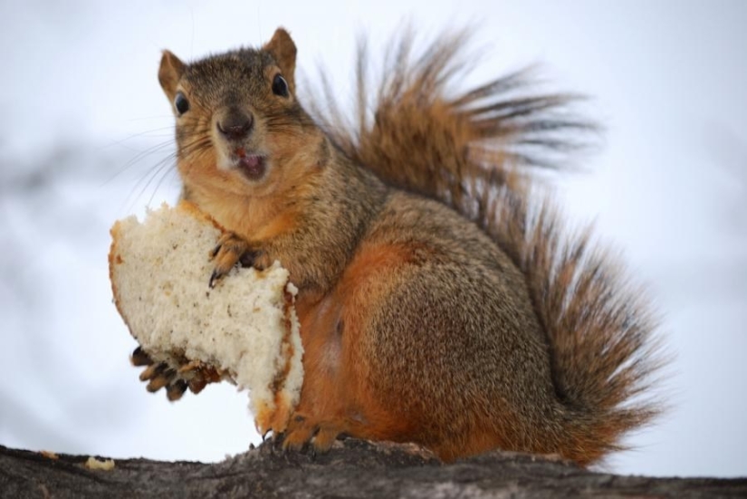 5 things you should pay attention to in order not to freeze this winter