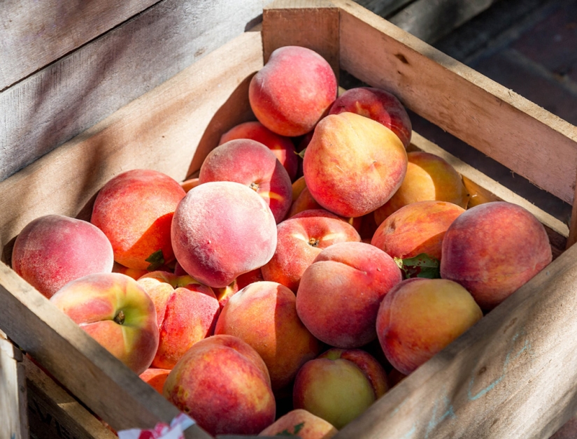 5 tips on how to choose the right delicious and sweet peach