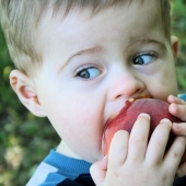 5 tips on how to choose the right delicious and sweet peach