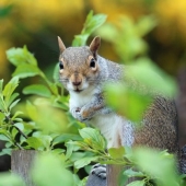 5 Weirdest Cargoes Ever Carried