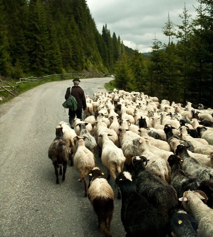 50 razones para visitar Rumanía 50 razones para visitar Rumanía