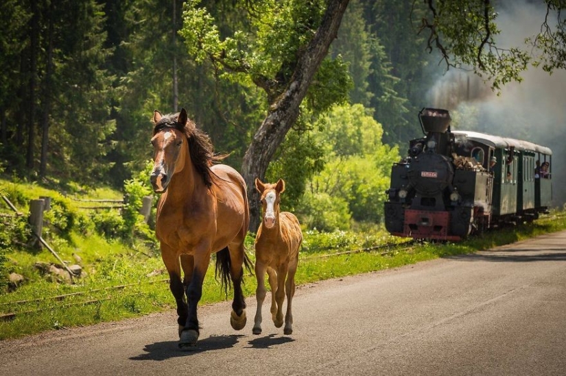 50 razones para visitar Rumanía 50 razones para visitar Rumanía