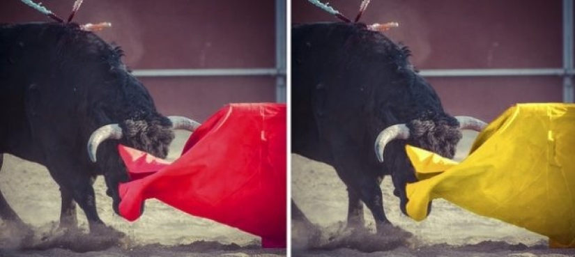 6 conceptos erróneos populares que algunos de nosotros todavía creemos 6 conceptos erróneos populares que algunos de nosotros todavía creemos