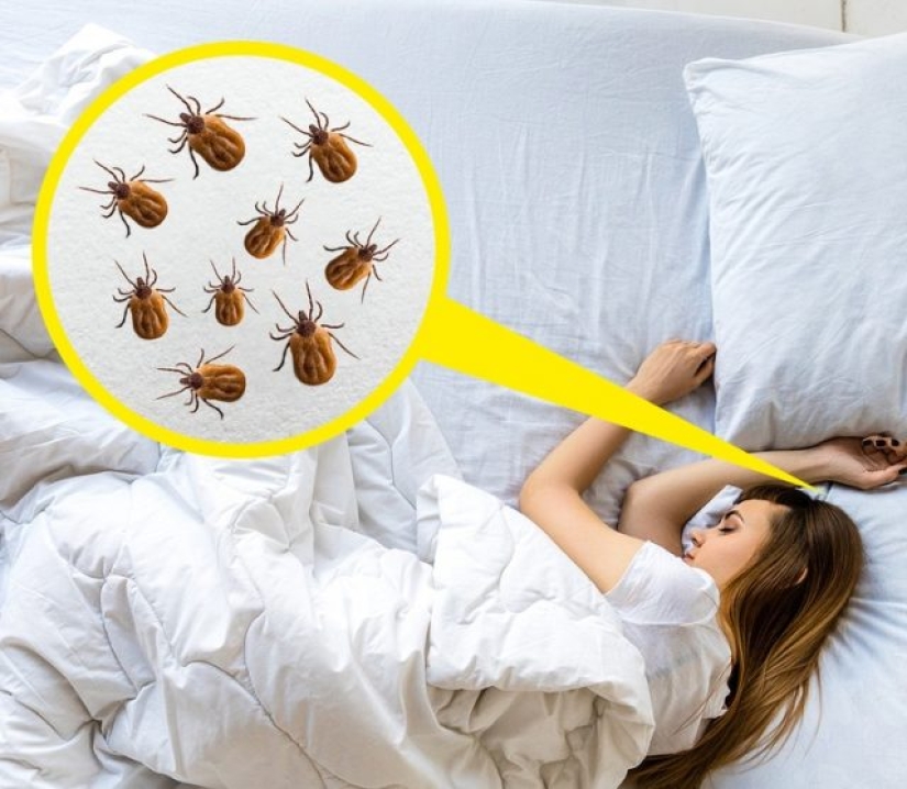 6 errores de higiene 6 errores de higiene