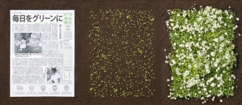 6 Innovative Ways Different Countries Are Saving Our Planet From Waste 6 Innovative Ways Different Countries Are Saving Our Planet From Waste