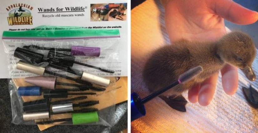 6 Innovative Ways Different Countries Are Saving Our Planet From Waste 6 Innovative Ways Different Countries Are Saving Our Planet From Waste