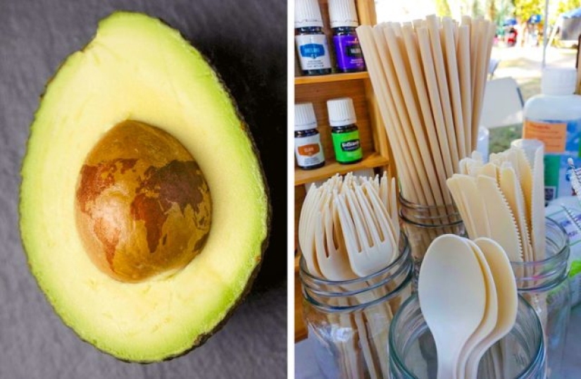 6 maneras innovadoras en que diferentes países están salvando nuestro planeta de los desechos