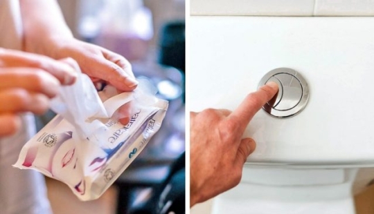 6 maneras innovadoras en que diferentes países están salvando nuestro planeta de los desechos