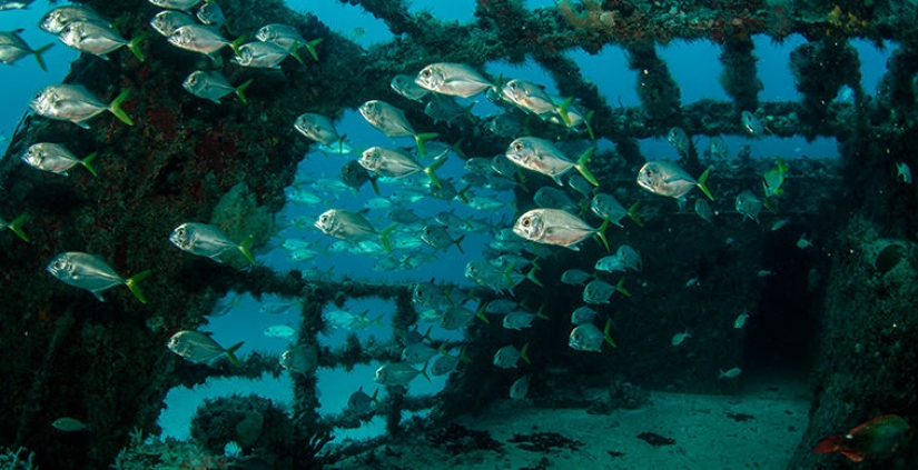 6 picturesque shipwreck cemeteries
