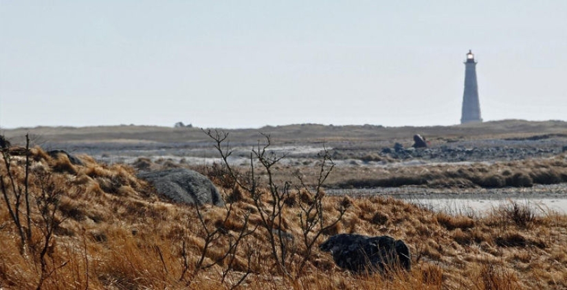 6 picturesque shipwreck cemeteries