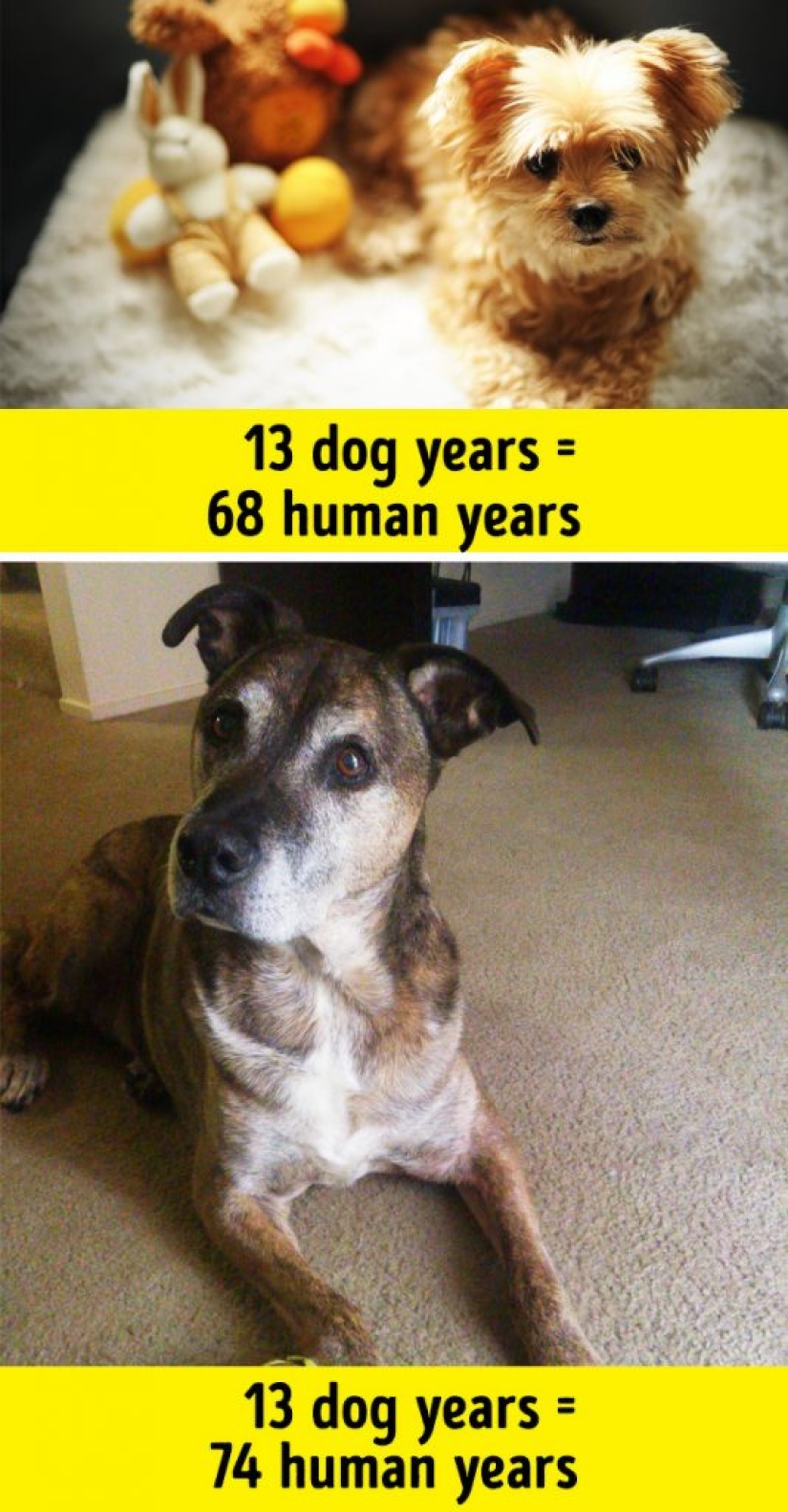 6 popular misconceptions that some of us still believe 6 popular misconceptions that some of us still believe