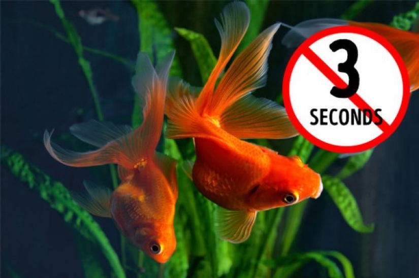 6 popular misconceptions that some of us still believe 6 popular misconceptions that some of us still believe