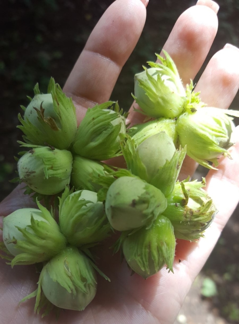 6 things that struck a resident of Novosibirsk who moved to England 6 things that struck a resident of Novosibirsk who moved to England