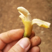 6 Times People Noticed Unusual Things Among Routines