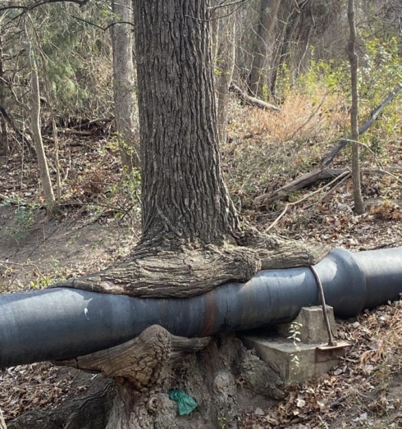 6 veces en las que la gente notó cosas inusuales entre las rutinas 6 veces en las que la gente notó cosas inusuales entre las rutinas