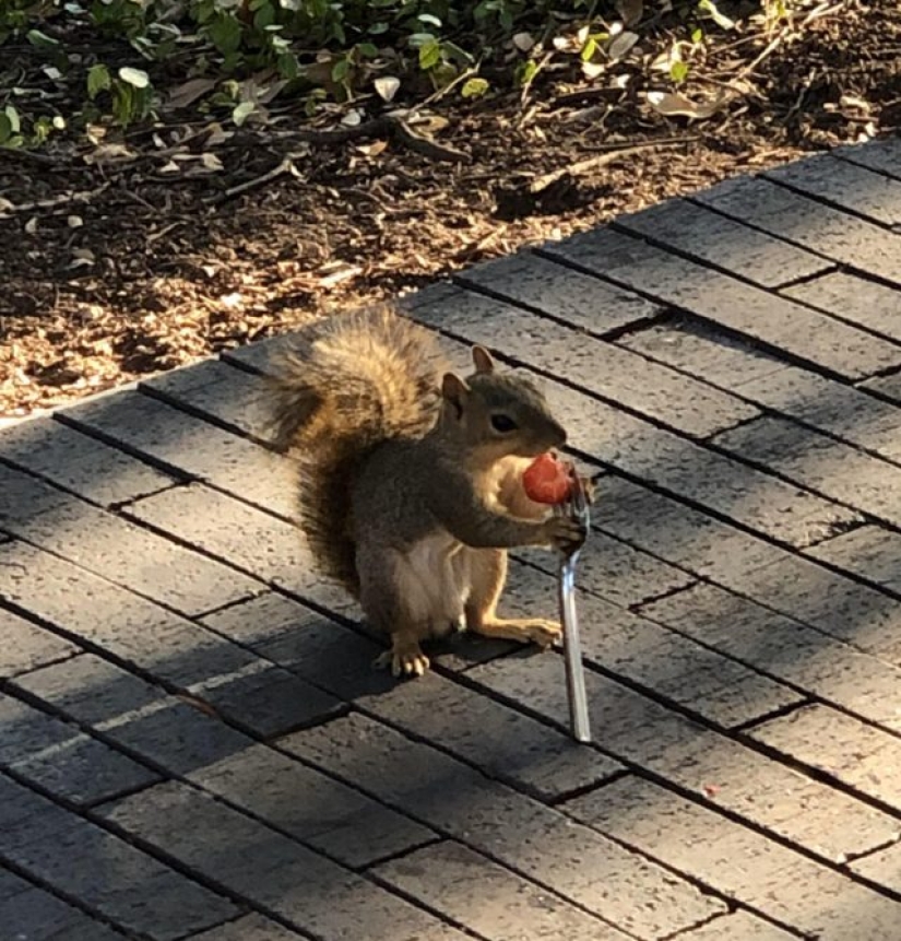 6 veces en las que la gente notó cosas inusuales entre las rutinas 6 veces en las que la gente notó cosas inusuales entre las rutinas