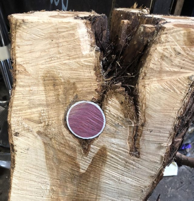 6 veces en las que la gente notó cosas inusuales entre las rutinas 6 veces en las que la gente notó cosas inusuales entre las rutinas