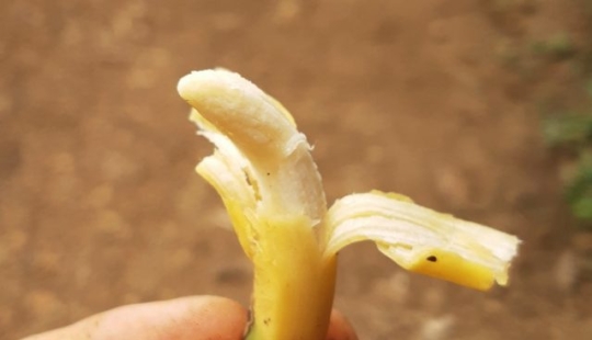 6 veces en las que la gente notó cosas inusuales entre las rutinas