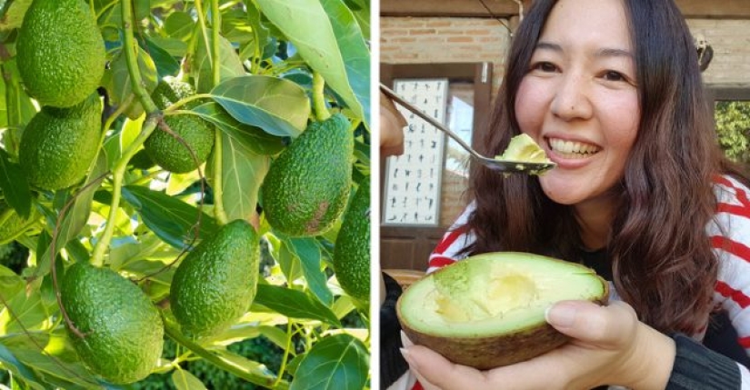 7 alimentos para la migraña