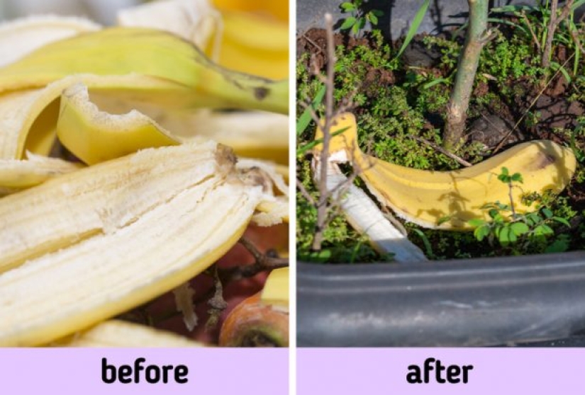 7 cosas que podríamos usar en lugar de tirar