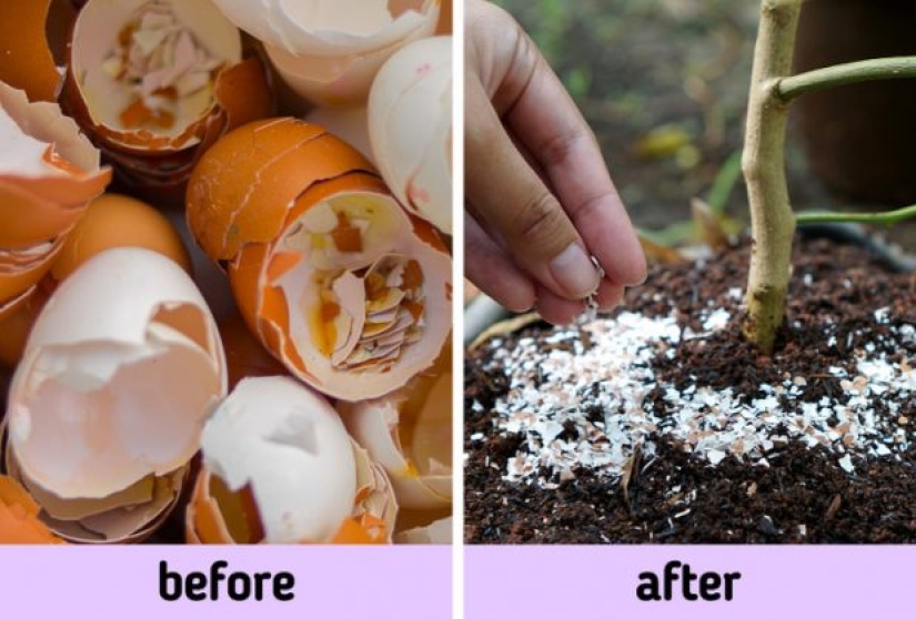 7 cosas que podríamos usar en lugar de tirar