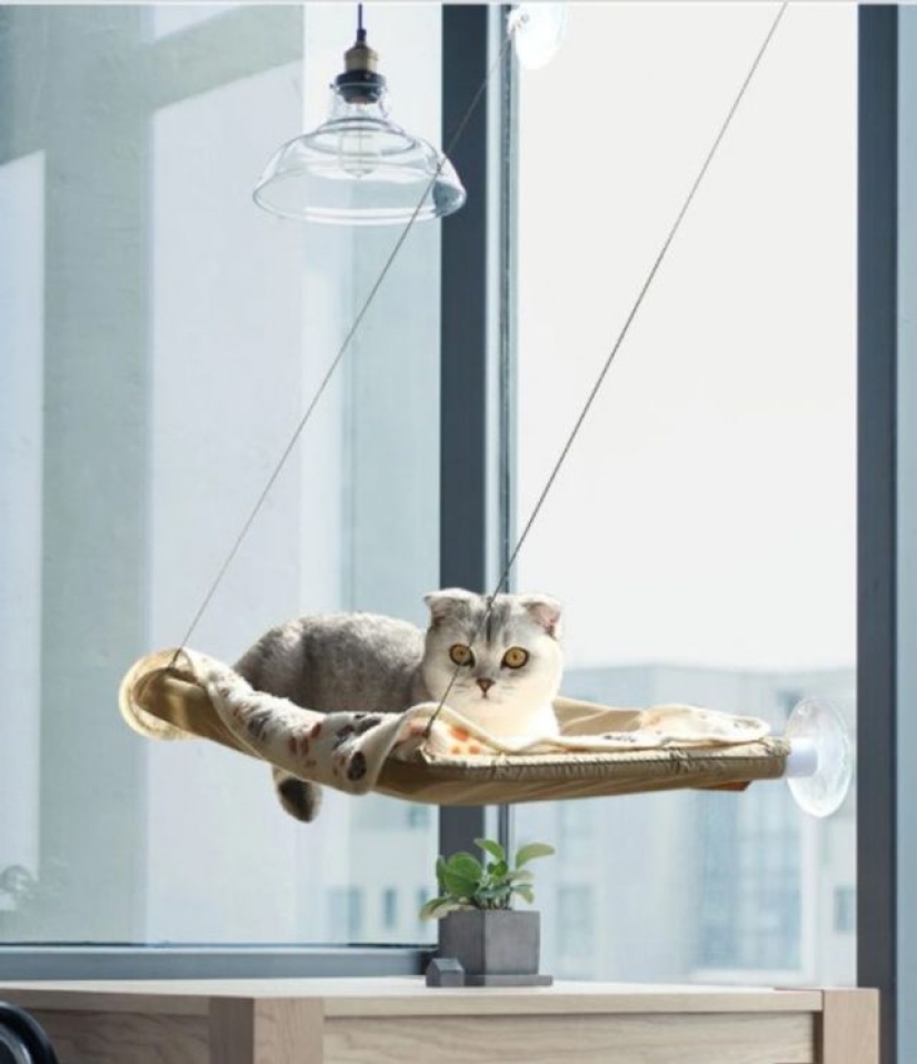 7 creative options for those who want to replace ordinary curtains with something else