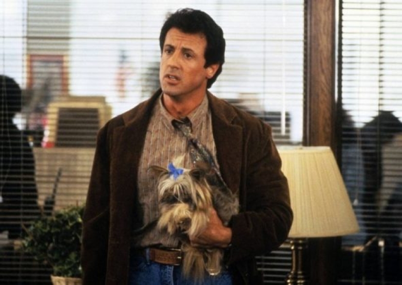 7 facts about the lives of celebrities that they willingly revealed in a burst of honesty 7 facts about the lives of celebrities that they willingly revealed in a burst of honesty