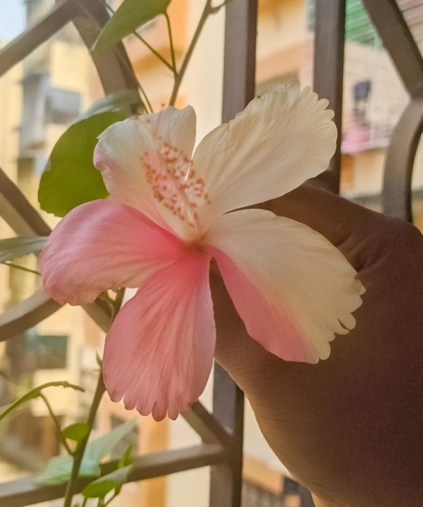 7 fotos que inmediatamente plantean muchas preguntas