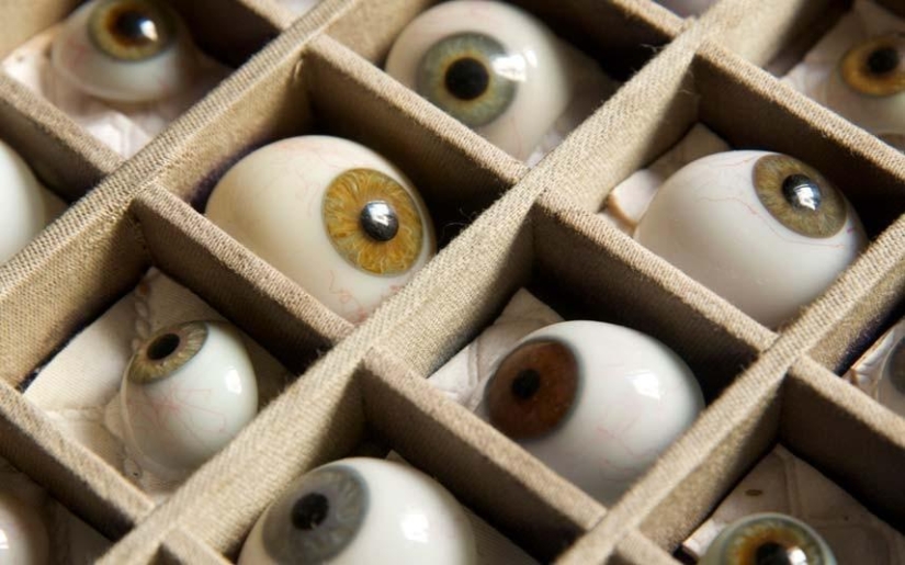 7 most unexpected finds of customs officers