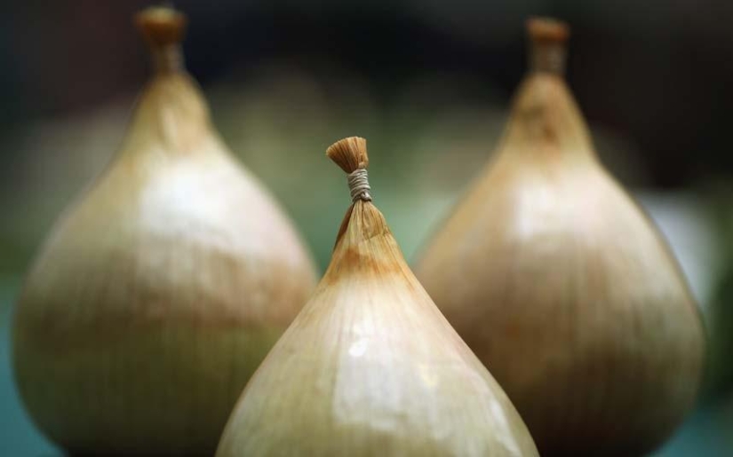 7 most unexpected finds of customs officers