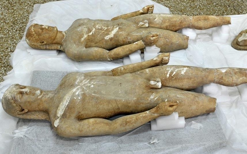 7 most unexpected finds of customs officers